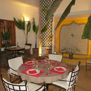 Irene Marrakesh